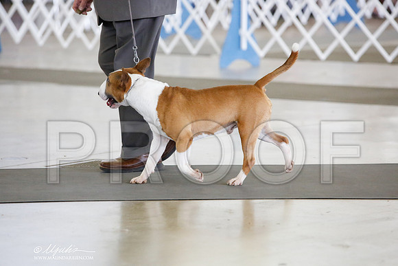 _JN_5200-DallasJul2014-HR3