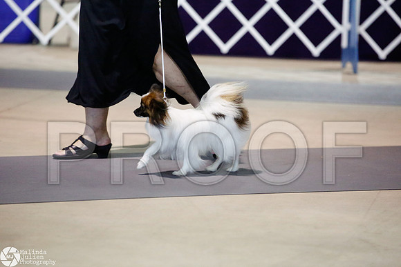 _JJ_3274-SanAntonioJul2014-HR