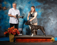 American Pit Bull Terrier Sat TEST