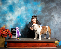English Bulldog Sat1 NCh Angela Narvais