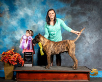 Presa Sat S1 G4 Kassidy Collier 2