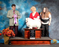 American Eskimo Sat S2 ABIS Susan De La Paz Judge Antonio Raposo