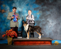 Collie Sat S1 G1 Tommy Trojan Judge Antonio Raposo