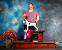 Jack Russell Terrier Sat S1 G2 Geneva Fain Judge Jeanne Heger