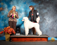 Poodle 2Sat S2 Jennifer Fulgham Judge Kathy Short