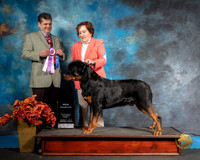 Rottweiler Sat S1 BOB NCh Karen Staniszewski Judge Antonio Raposo