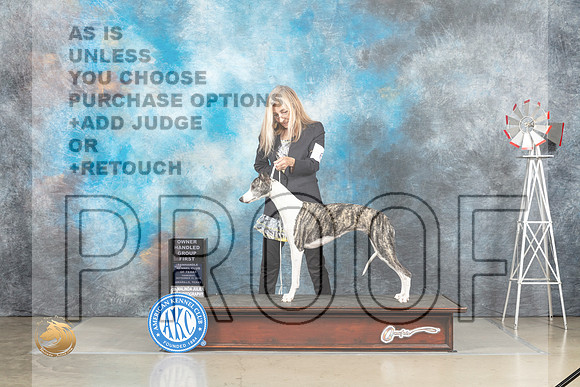 Whippet #6 Thur OHG1 Judge Sharon Derrick_MJ_3640_Amarillo_2022_HR3