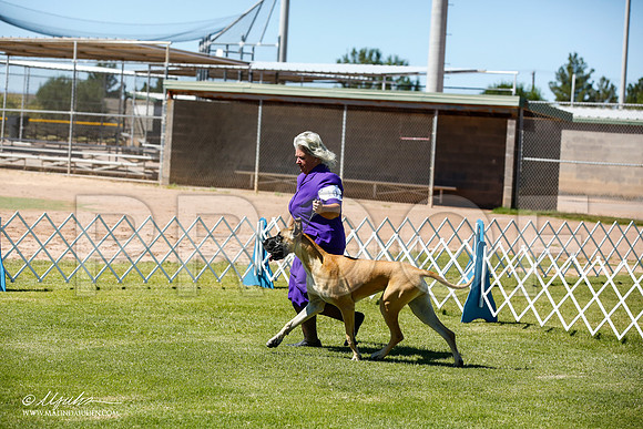 _JN_6397-AlamogordoOct2014-HR3