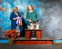 Alaskan Klee Kai Sun BOB Pam Eaves Judge Jeane Heger