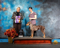 Catahoula Sun NGrCh Michelle Covington Judge Kathy Short