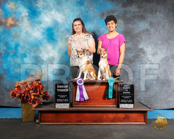 Lundenhund Sun Kerri ArielSSR_3994-Addison2019-HR3