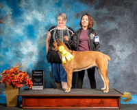 Presa Sat S1 G4 Kassidy Collier