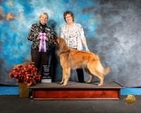 Turveren Sun BIS Pam White Judge Kathy Short