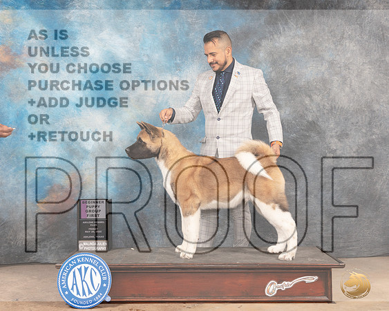 Akita #9 Sun PBOBPG1 Judge Thomson Stanfield Jr-MMJ_5055-Abilene2022-HR3