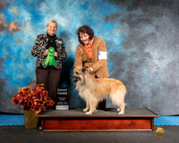 Pyrenean Shepherd Sun G3 Margie Judge Kathy Short