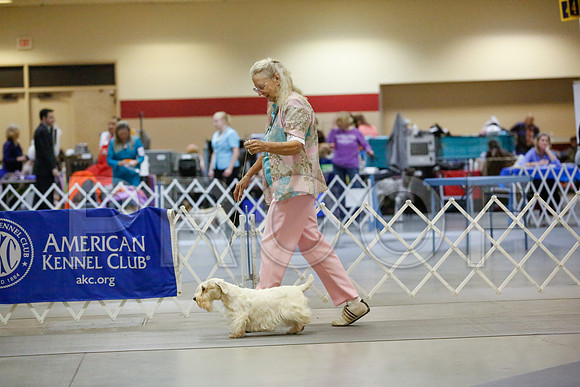 _JN_5882-AmarilloSept2014-HR3