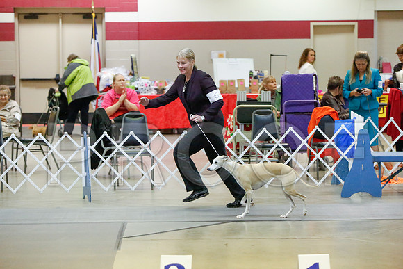 _JJ_4096-AmarilloSept2014-HR3
