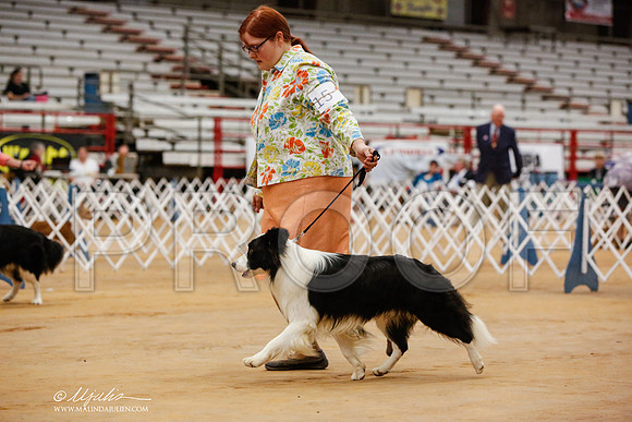 _JN_4311-TxArJun2014-HR3