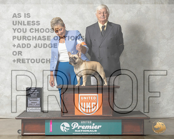 French Bulldog #730 Fri BOBGCh Judge Linda Reece__MJ_7773_Premier_2022_HR3