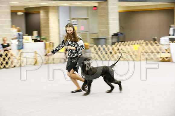 _JJ_7993-AfgBeltonOct2014-HR3