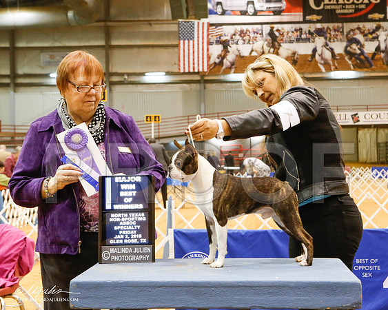 _MJ_5213-2-GlenRoseJan2015-HR3
