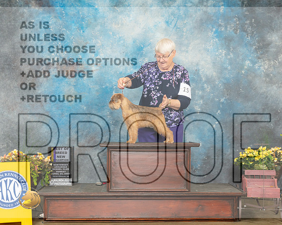 Brussels Griffon #6 Sun BOBWBNCh Judge James Fehring-MMJ_1400-NWARK2022-HR3
