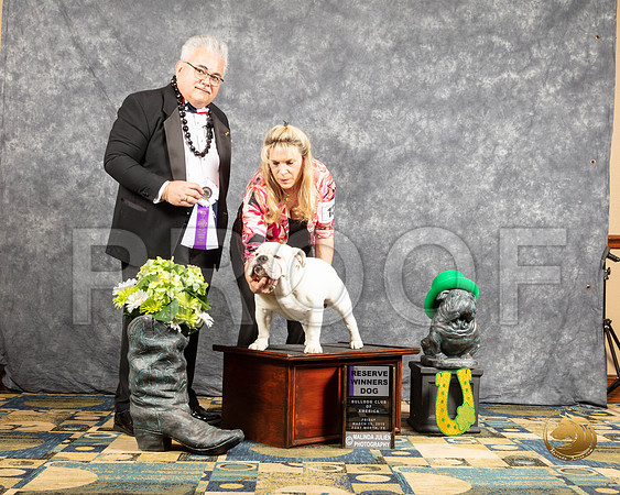 #13 Fri S1 RWD Judge Dr Clinton C MugurussaSSR_4185-BullDogFW2019-HR3