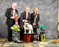 #223 Fri S1 BISS Judge Dr Clinton C Mugurussa