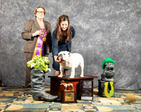 #225 Fri S2 BISS Judge Diana Engeszer