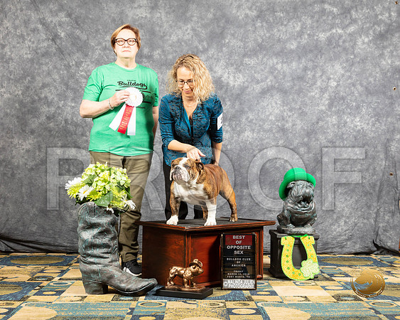 #204 Sat S1 BOS Judge Judge Diana EngeszerSSR_4244-BullDogFW2019-HR3