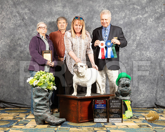 #19 Sat S1 BOS BOW BPuppy Judge Michael OttenSSR_4257-BullDogFW2019-HR3