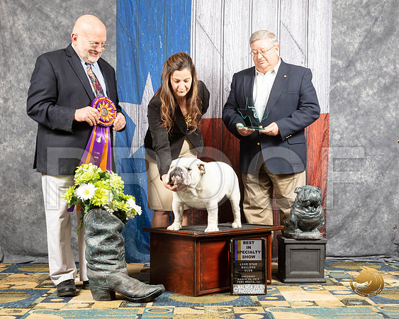 #225 Sat S2 BIS Judge Marcel DaignaultSSR_4279-BullDogFW2019-HR3