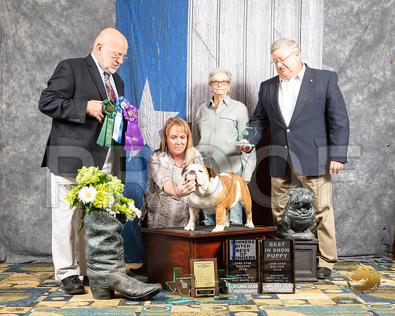 #26 Sat S2 BOW Best Puppy Judge Marcel DaignaultSSR_4292-BullDogFW2019-HR3