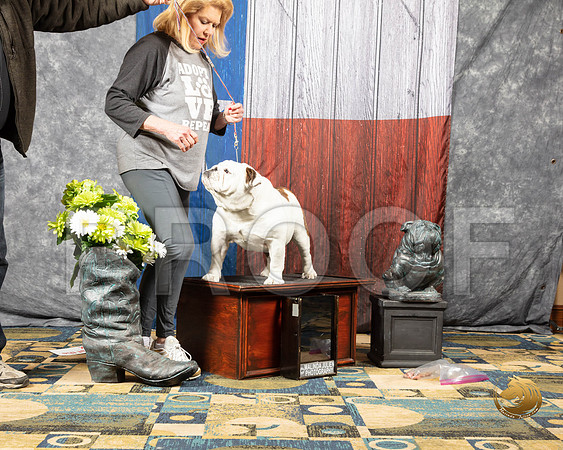 #223 ImagesSSR_4305-BullDogFW2019-HR3