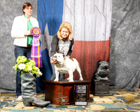 #223 Sun BISS Judge Pat Tinsley