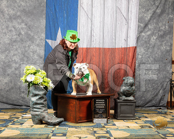 #29 Sun FunSSR_4324-BullDogFW2019-HR3