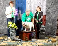 #43 Sun WD Judge Pat Tinsley