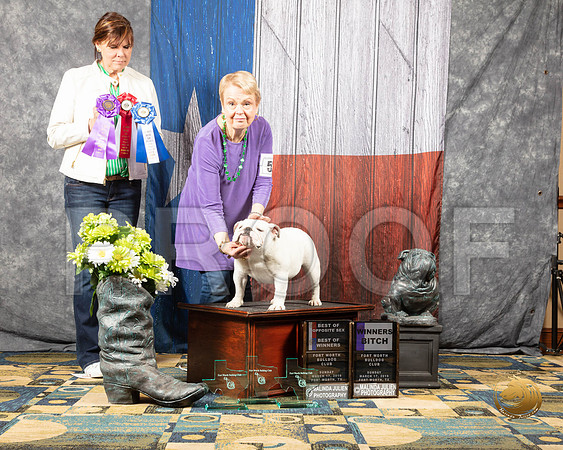 #52 Sun WB BOW BOS Judge Pat TinsleySSR_4320-BullDogFW2019-HR3