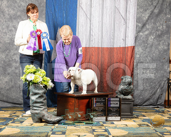 #52 Sun WB BOW BOS Judge Pat TinsleySSR_4321-BullDogFW2019-HR3