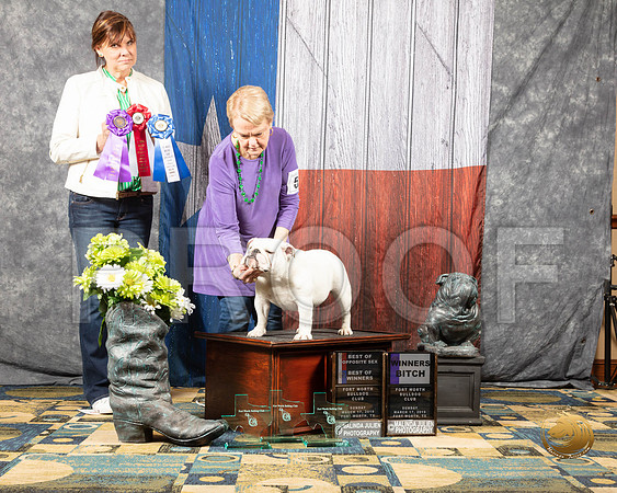 #52 Sun WB BOW BOS Judge Pat TinsleySSR_4322-BullDogFW2019-HR3