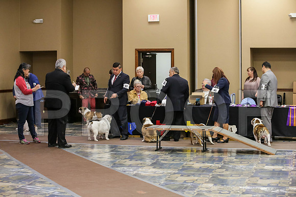 1 CandidsJJJ_0244-BullDogFW2019-HR3
