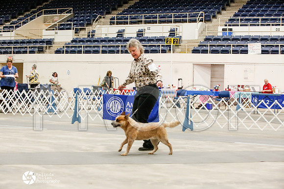 _JJ_9588-AblnMay2014-web