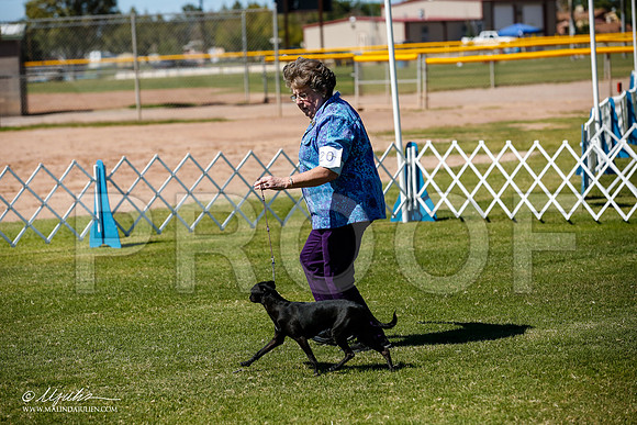 _JJ_8445-AlamogordoOct2014-HR3