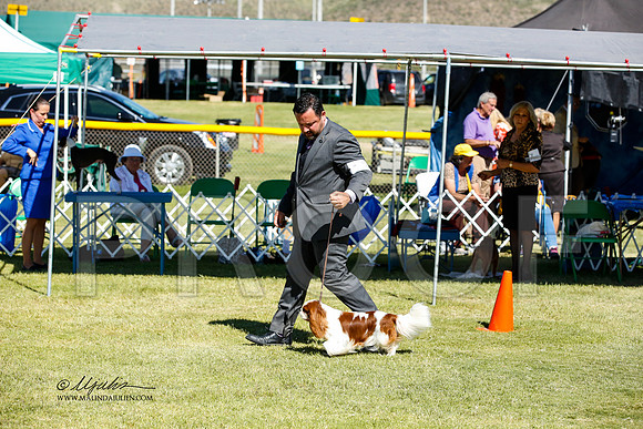 _JN_1173-AlamogordoOct2014-HR3