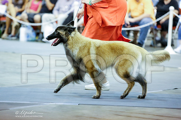 _JN_6688-HstnJul2014-HR3