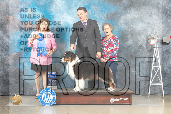 Australian Shepherd #8 Sat G1 Judge Joan Liebes_MJ_4668_Amarillo_2022_HR3