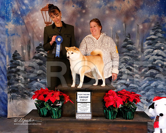 shiba-6288-MrshlDec13-HR