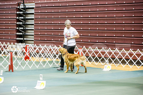 _JJ_4637-BsrCtyJun2014-HR3