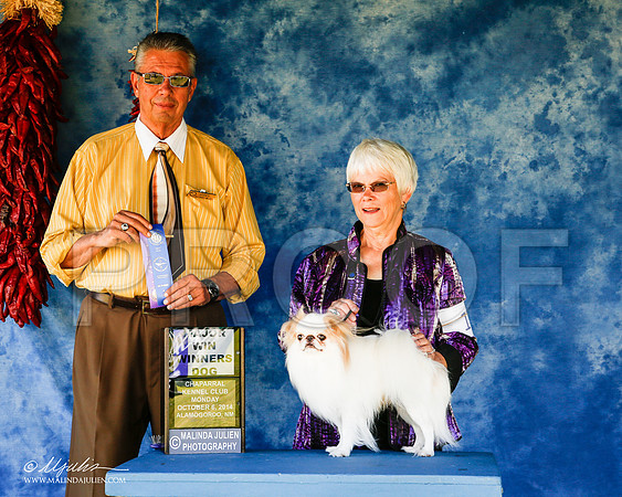 _ST_3727-2-AlamogordoOct2014-HR3