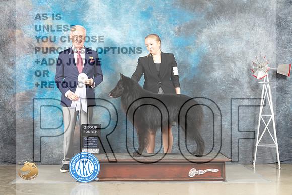 Belgian Sheepdog #5 Fri G4 Judge Fred Bassett_MJ_4059_Amarillo_2022_HR3